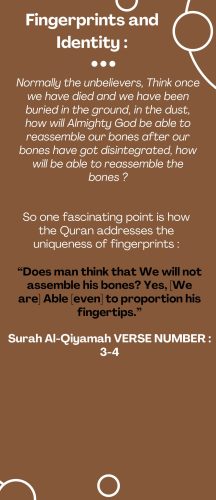 Miracles of the Quran-images-13