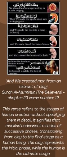 Miracles of the Quran-images-15
