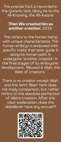 Miracles of the Quran-images-18