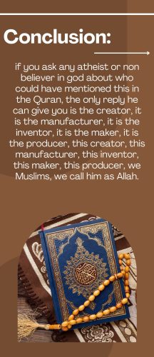 Miracles of the Quran-images-24