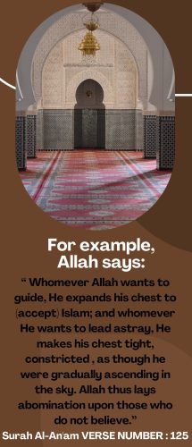 Miracles of the Quran-images-4