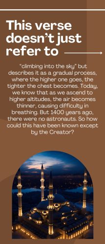 Miracles of the Quran-images-5
